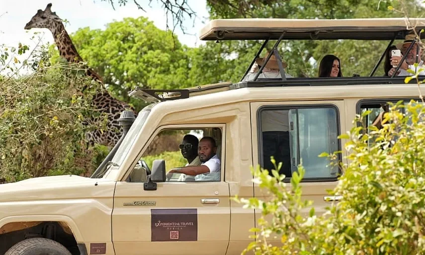 Safari Trip 